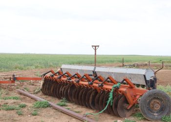 Tevî zehmetî û pirsgirêkên çandiniyê cotkar projeyên xwe berdewam dikin