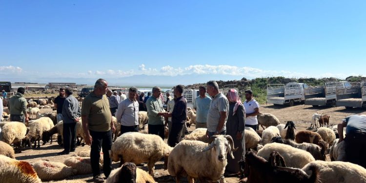 Nirxê sewalan du qatan bilind bûye