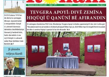 TEVGERA APOYÎ: DIVÊ ZEMÎNA HIQÛQÎ Û QANÛNÎ BÊ AFIRANDIN