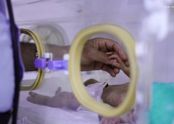 Zarokan nekin qurbanên şaştiyên xwe