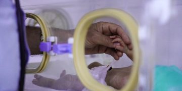 Zarokan nekin qurbanên şaştiyên xwe
