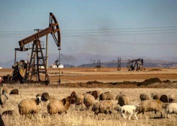 Herêma Cizîrê; Navenda dewlemendiya çandinî û enerjiyê