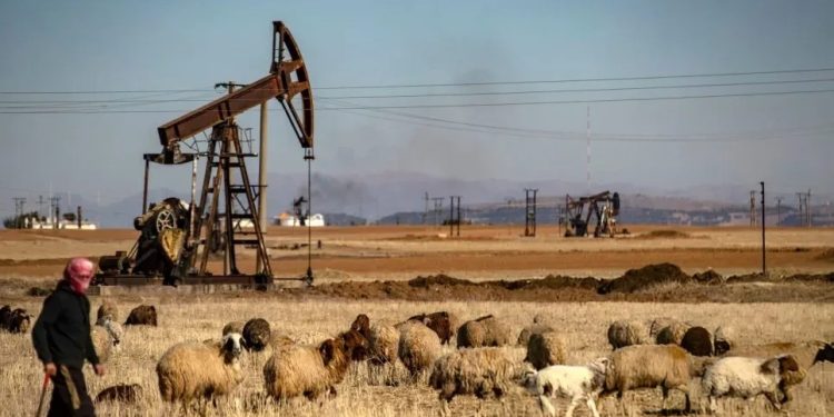 Herêma Cizîrê; Navenda dewlemendiya çandinî û enerjiyê