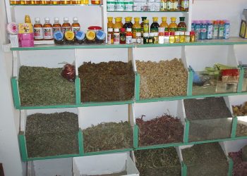  31 sal in bi giyayên xwezayî nexweşan derman dike