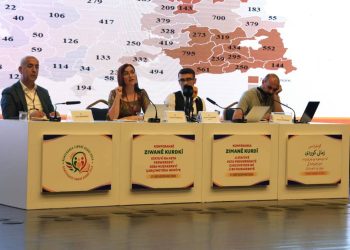 ‘Divê statuya zimanê Kurdî were misogerkirin’
