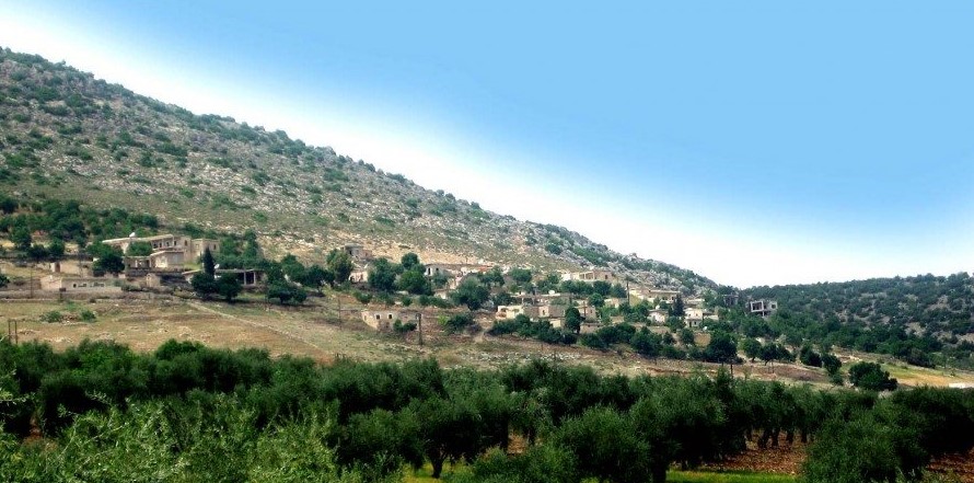 الاحتلال التركي يفرض ضرائب على أصحاب كروم الزيتون في عفرين
