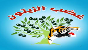 غضب الزيتون تتبنى عملية جسر الغندورة وتؤكد مقتل 8 مرتزقة تركيا