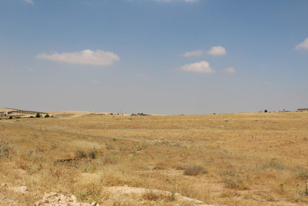 الرأسمالية تسبّبت في خلق بيئة قاحلة بالجزيرة السورية