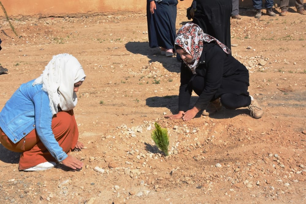 في ذكرى ميلاد القائد أوجلان جذور ٢٥٠ شجرة تُعانق أرض الشدادي