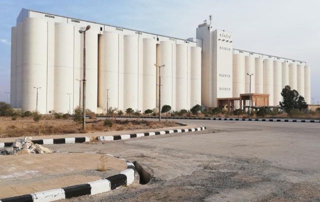 الطبقة…. شركة التطوير الزراعي تبدأ باستلام محاصيل الحبوب