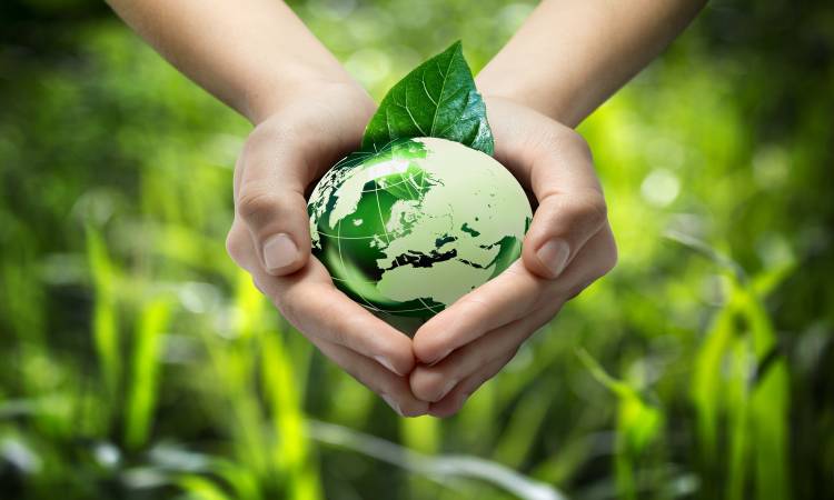 الاقتصاد الأخضر وأثره على التنمية المستدامة