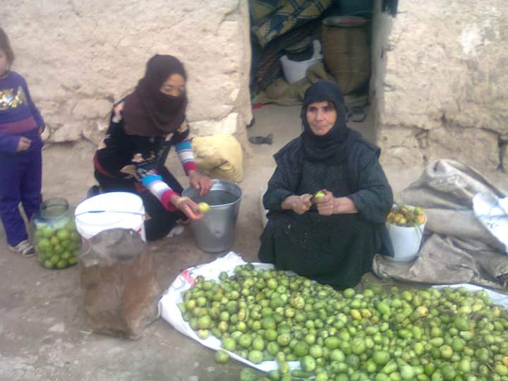 نساء تل كوجر: ما يتوفر صيفاً لا يتوفر شتاءً