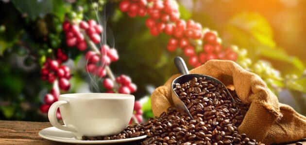 إمدادات البن العالمية مُهددة بسبب الإغلاق في فيتنام