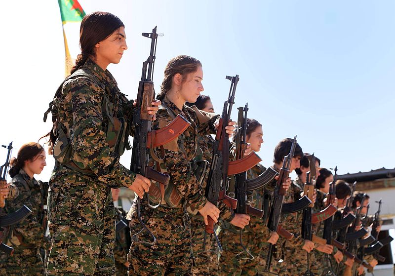 دور الكرد في حماية المنطقة من التقسيم ـ2ـ