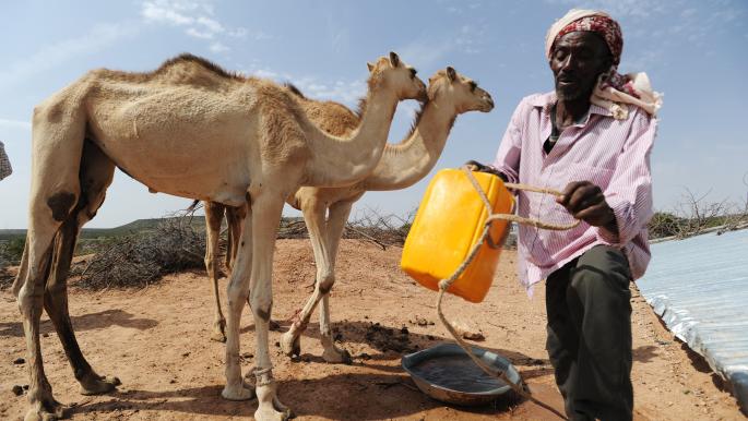 بيداوة وجهة الصوماليين الهاربين من الجفاف