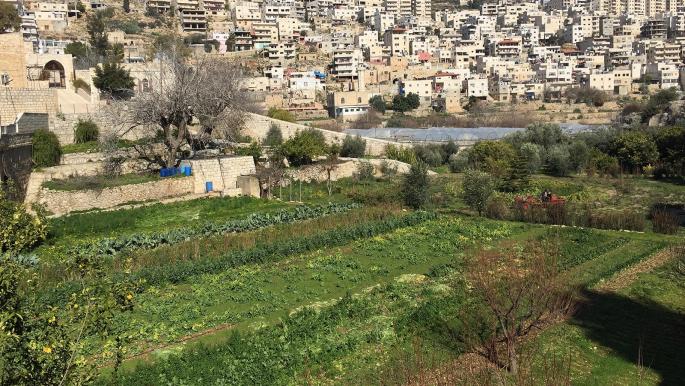 قرية إرطاس… “الجنة المُقفلة” في فلسطين