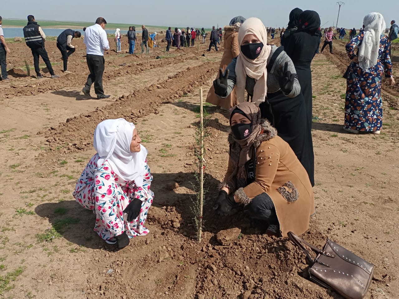 احتفاء بميلاد القائد أوجلان.. حملة تشجير في محمية سد جل آغا