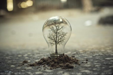 تلازم الصّورة والخيال في خلق العمل الفنيّ