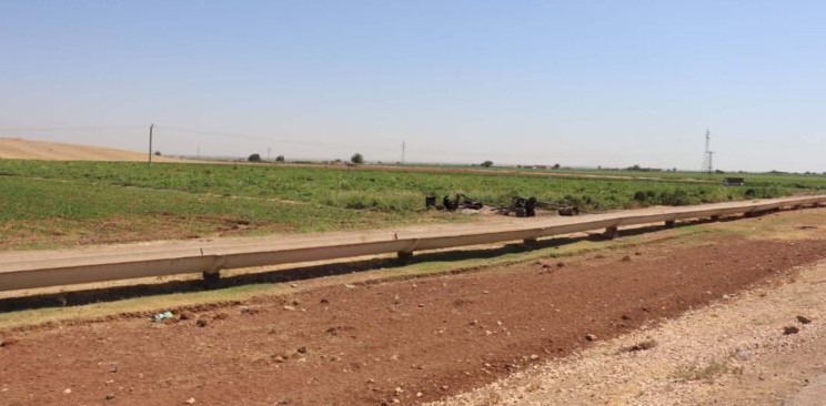 لمكافحة الكوليرا… إتلاف 165 دونماً من المزروعات بريف حلب