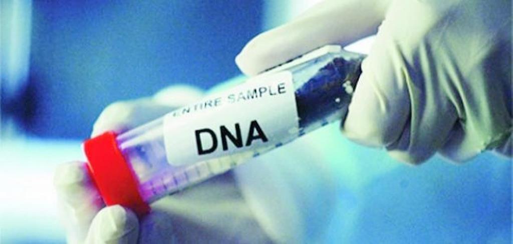 هل يلزم اللاعب فحص DNA لمعرفة مَنْ مدربه وناديه؟