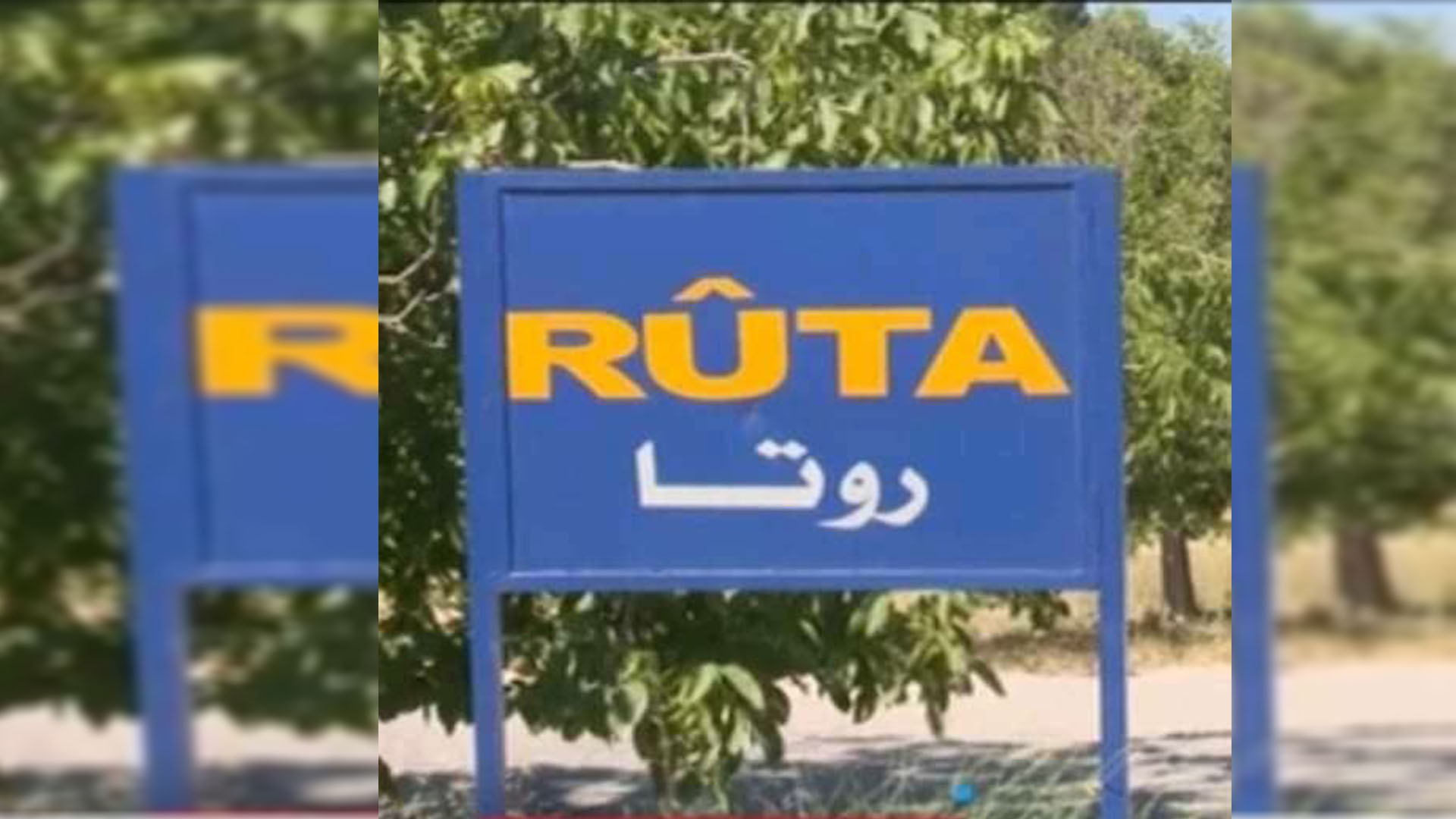 انتهاكات في عفرين ورفض للتطبيع في المناطق المحتلة