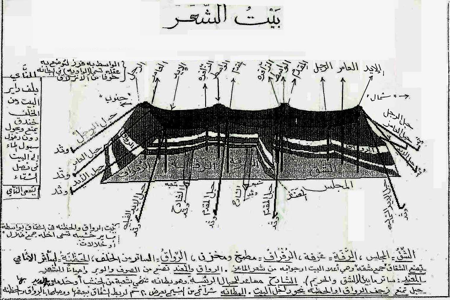 بيتُ الشَّعْرِ مسكنُ البُدَاةِ وهويَّة أبناءِ الصَّحارى