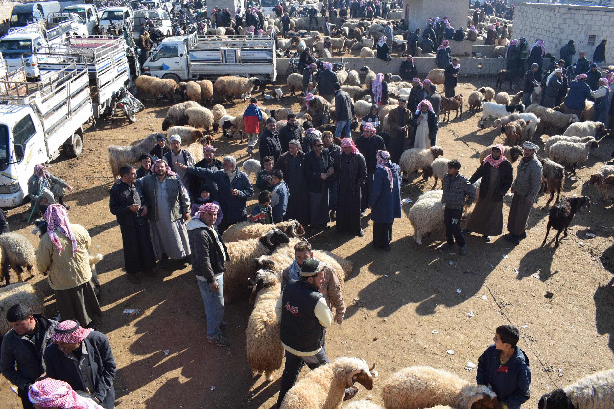 مديرية تموين منبج تضرب بيد من حديد على محال بيع اللحوم