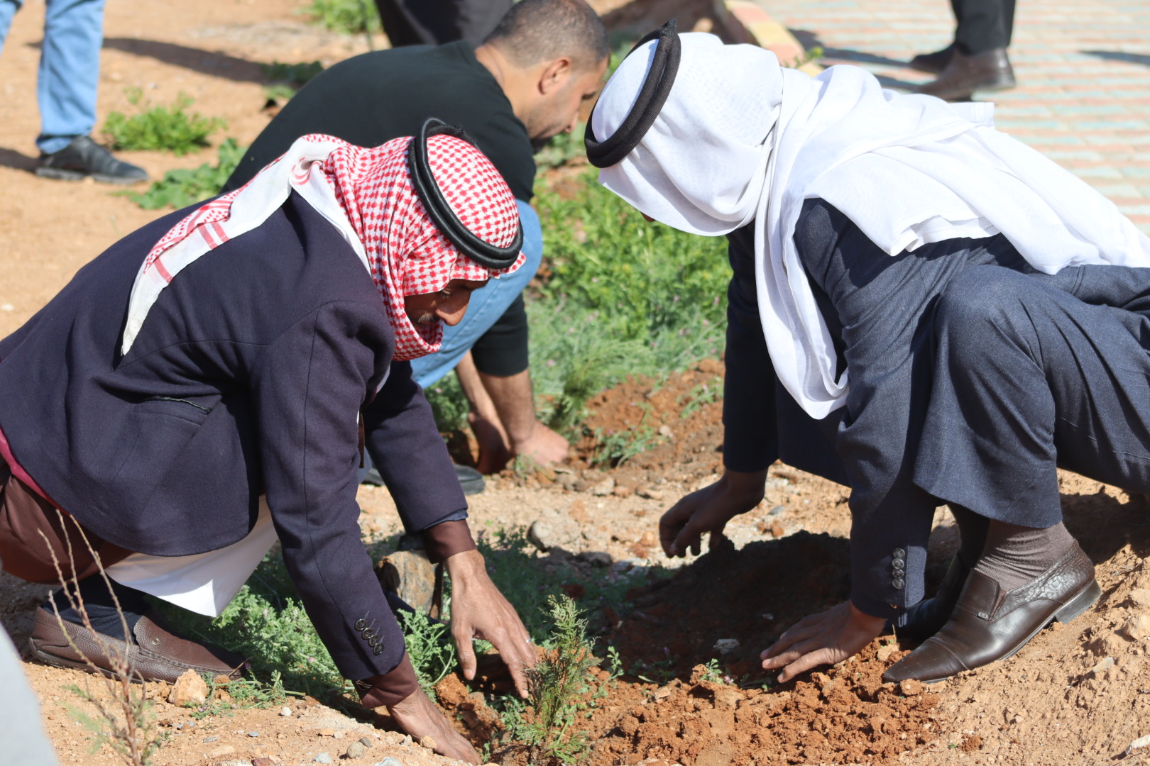 مواطنو مقاطعة كري سبي يزرعون الأشجار احتفالاً بميلاد القائد أوجلان