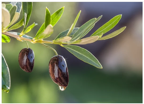 وجع الانتظار
