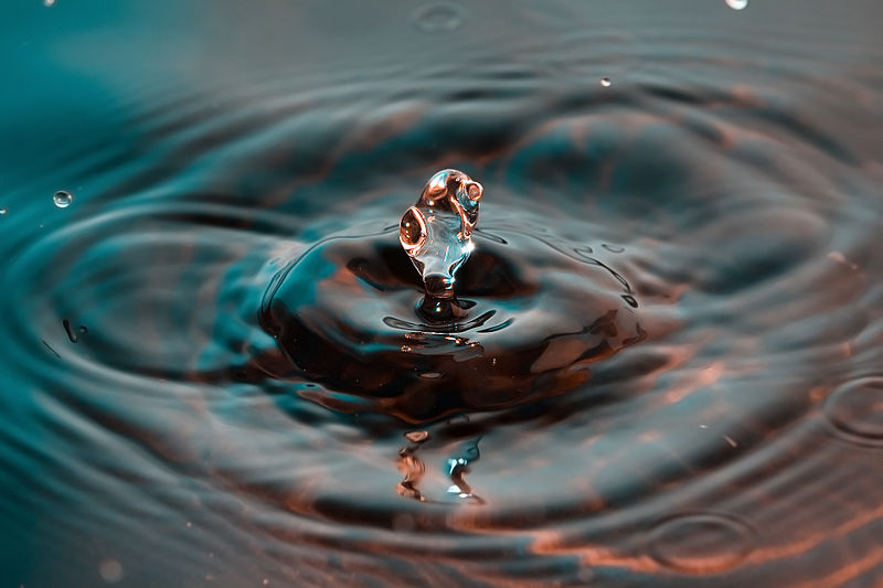 اقرأ صمت أخيك؛ فلعل عزة النفس أسكتته!