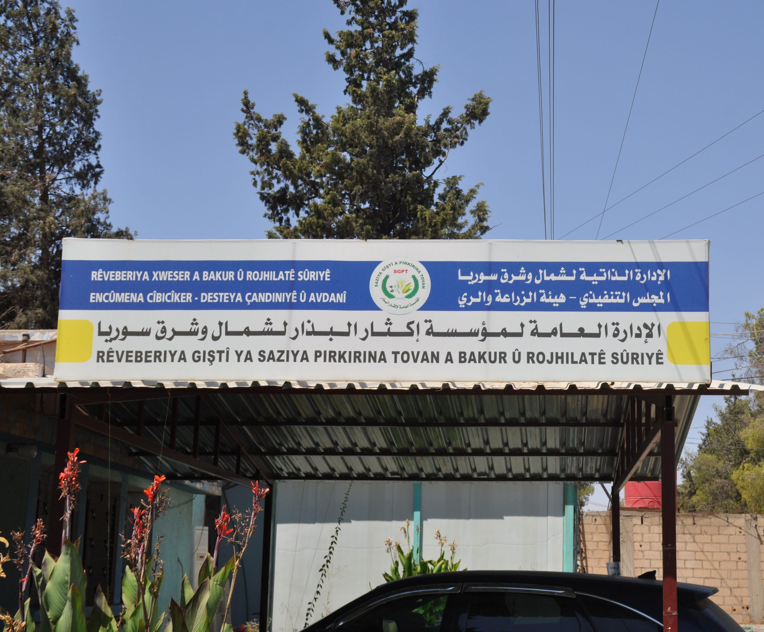 إكثار البذار.. جهود مبذولة وإنتاج يصل إلى 122 ألف طن