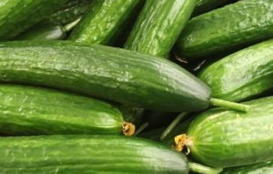 فوائد مُذهلة لتناول الخيار