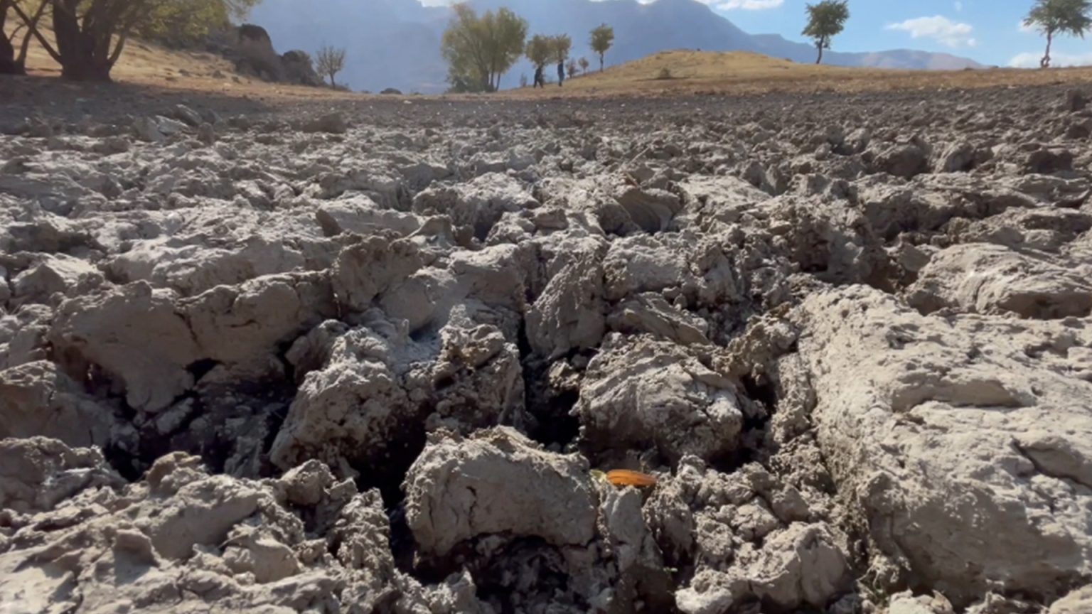 الجفاف يدفع العراق للهاوية نتيجة سياسات تركيا وإيران المائيّة