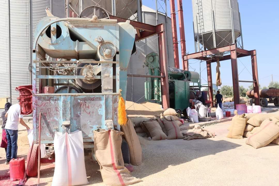 المؤسسة العامة لإكثار البذار توزع سبعة آلاف طن من البذار على المزارعين المتعاقدين معها