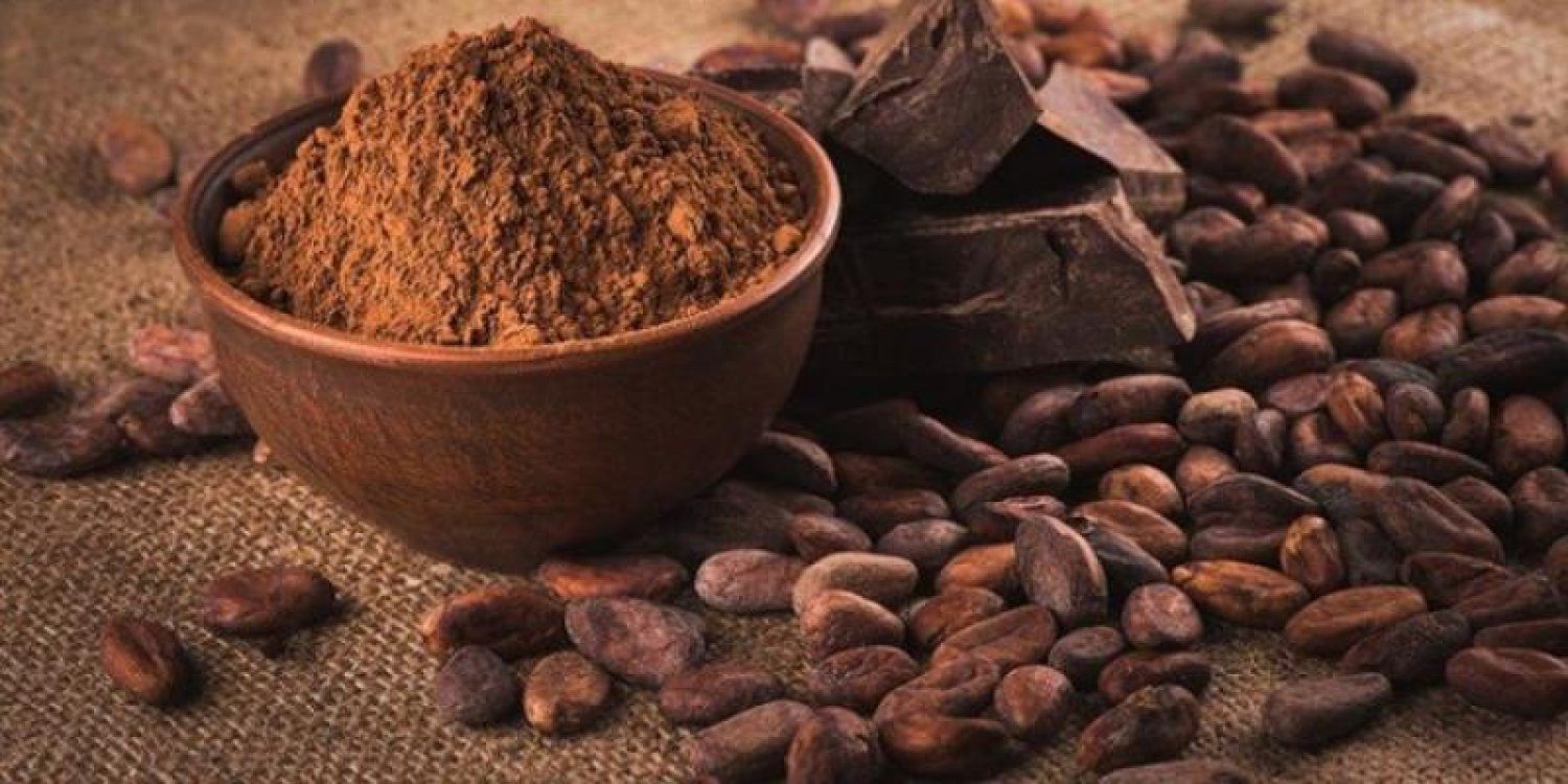 طبيبة تكشف فوائد الكاكاو المذهلة للدماغ والذاكرة