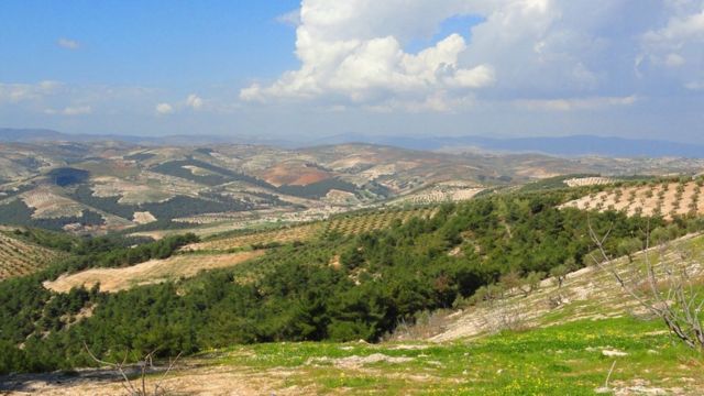 لا نُبصِر في الطريق المنير سوى عفرين… بل وضحايا شوقنا لها