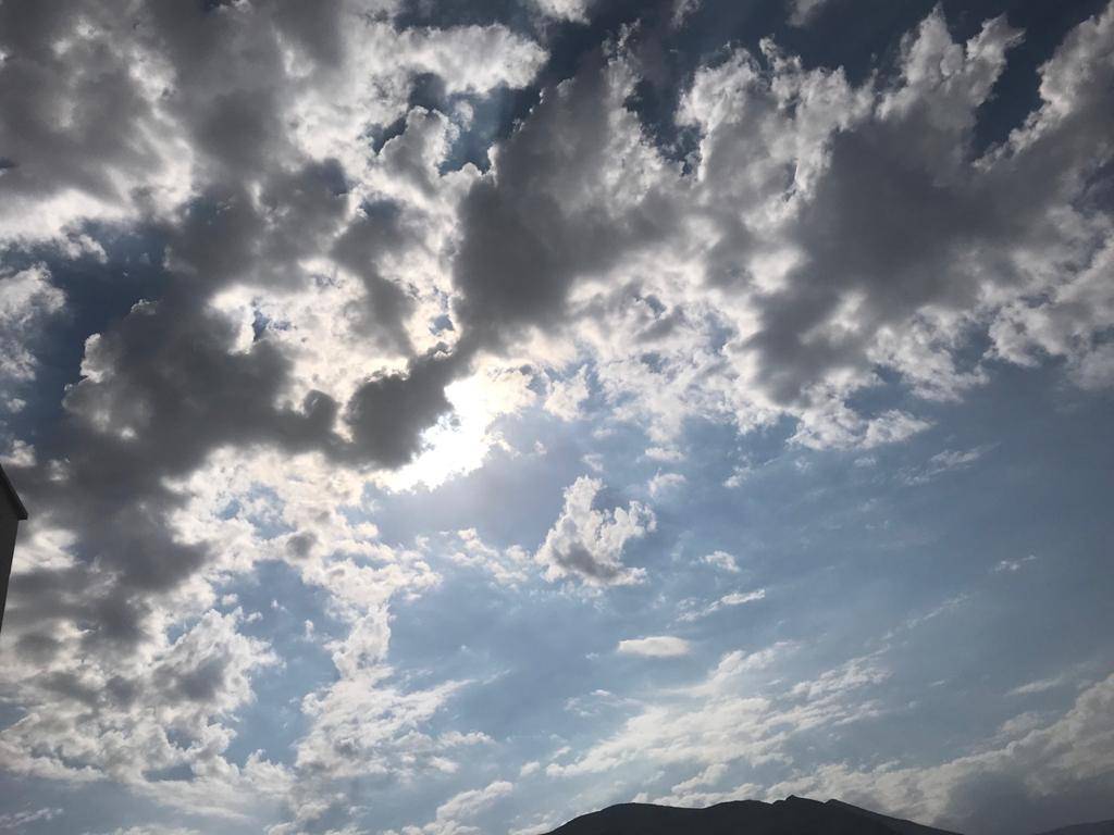 بارود وبنفسج