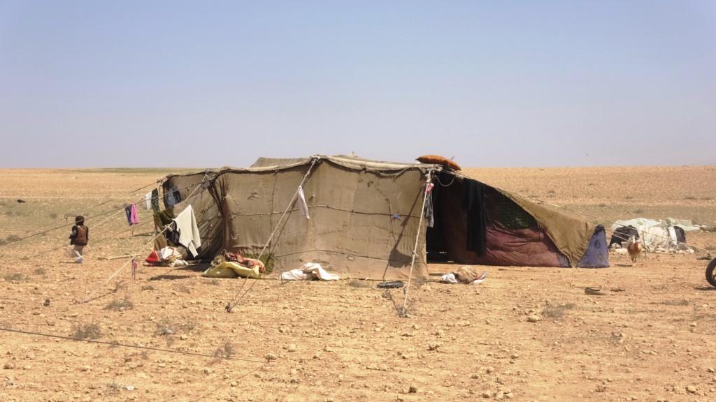 طقوس الرعي والمراعي عند أهل الرقة