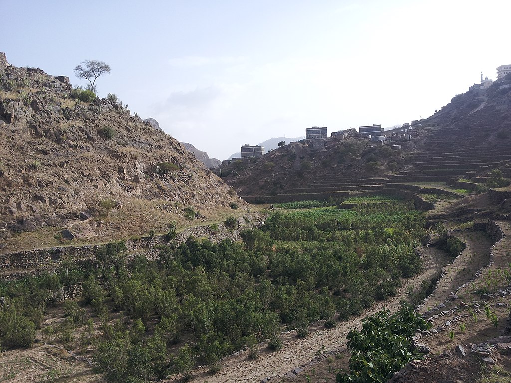 إضاءة اجتماعية سياسية على جبل الأكراد