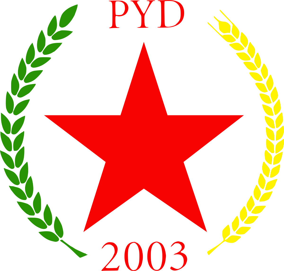 PYD 21عاماً من النضال السياسي والمجتمعي