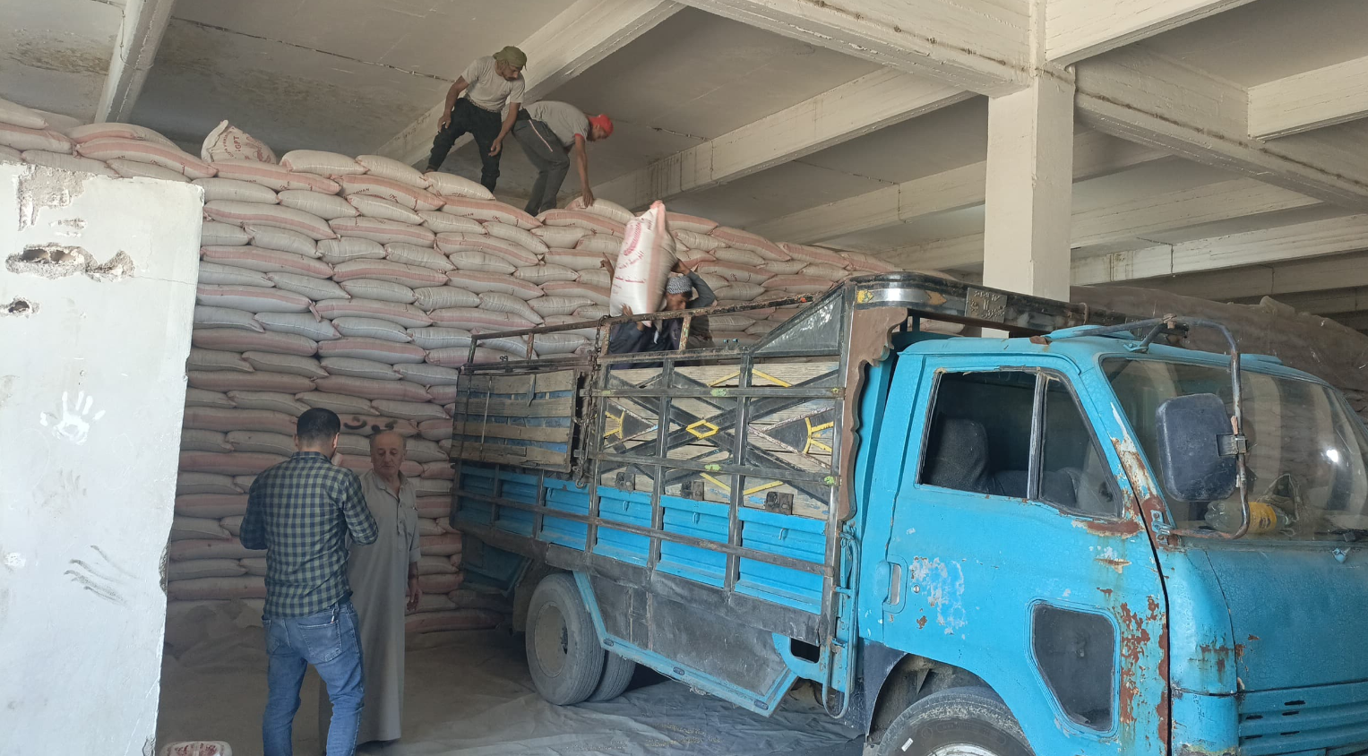 إكثار البذار توزع 7500 طن من البذار المُحسّن على الفلاحين والتوزيع مستمر