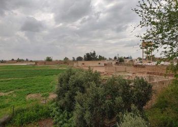 قرية السعدية الصغيرة.. أرض الخير والسعد   