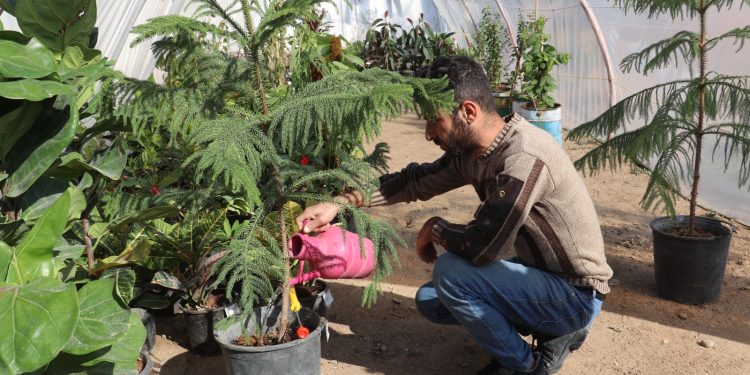 ابراهيم مصطفى.. شاب طموح يحوّل شغفه في الزراعة لمشروع ناجح
