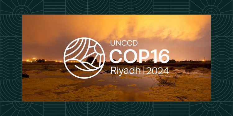 العالم يفقد سنوياً مليون كم مربع بما يعادل مساحة مصر من الأراضي الزراعية…. هذا العام COP16 في الرياض لمكافحة التصحر