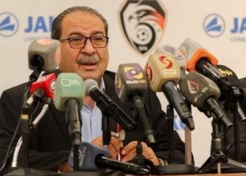 استقالة جماعية للاتحاد السوري لكرة القدم التابع للنظام البائد