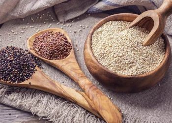لمرضى الكوليسترول.. خمسة بذور مفيدة جداً لكم