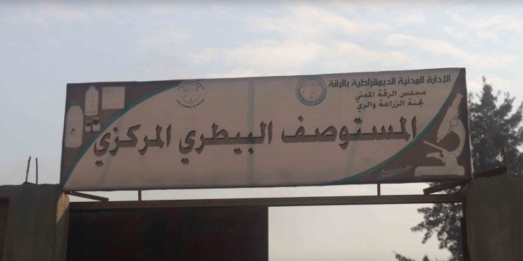المستوصف والمخبر البيطري المركزي في الرقة.. جهود مستمرة لدعم الثروة الحيوانية