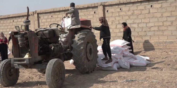 لجنة اقتصاد المرأة في دير الزور.. مشروع زراعي جديد يفتح آمالاً لمشاريع أخرى