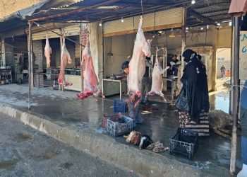 انخفاض حاد في أسعار اللحوم بجنوب الحسكة.. الأغنام تحت المليون ونصف!