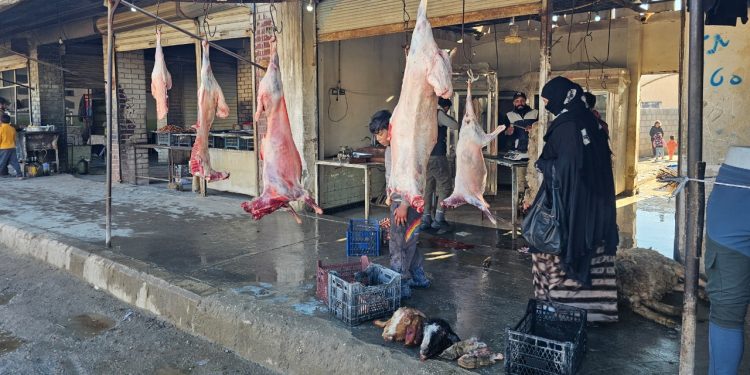 انخفاض حاد في أسعار اللحوم بجنوب الحسكة.. الأغنام تحت المليون ونصف!